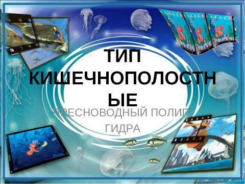 Презентация на тему "Тип кишечнополостные Пресноводный полип гидра" по биологии