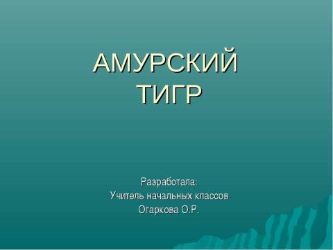 Презентация на тему "Амурский тигр 4 класс" по начальной школе