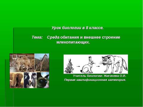 Презентация на тему "Среда обитания и внешнее строение млекопитающих" по биологии