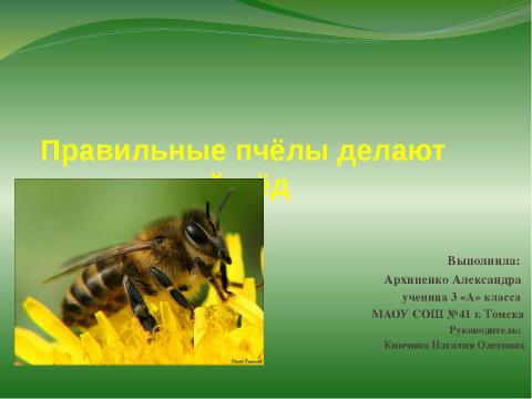 Презентация на тему "правильные пчёлы делают правильный мёд" по окружающему миру