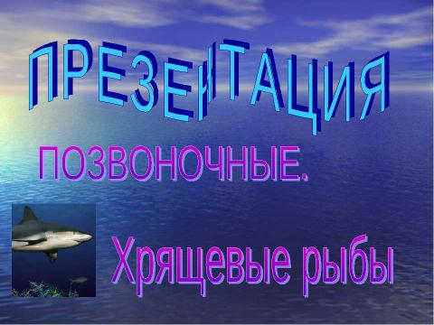 Презентация на тему "Позвоночные. Хрященвые рыбы" по биологии