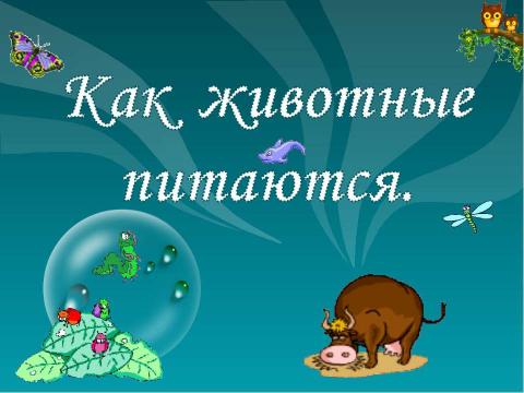 Презентация на тему "Как животные питаются 3 класс" по окружающему миру