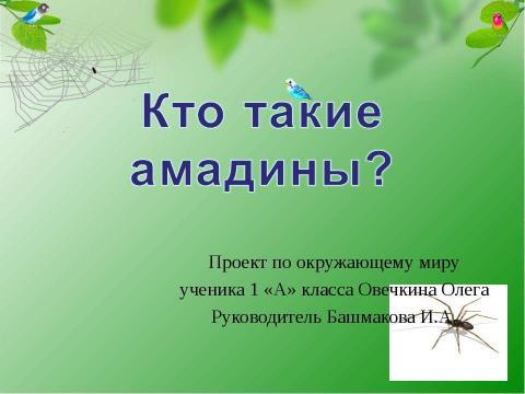 Презентация на тему "Кто такие амадины?" по биологии