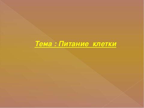 Презентация на тему "Питание клетки" по биологии