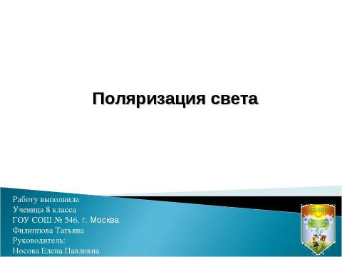 Презентация на тему "Поляризация света 8 класс" по физике