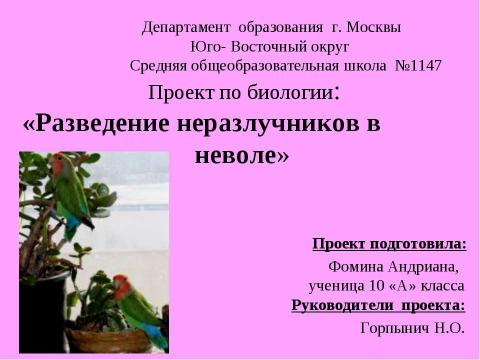 Презентация на тему "Разведение неразлучников в неволе" по биологии