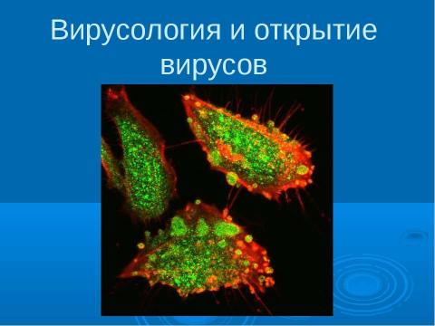 Презентация на тему "Вирусология и открытие вирусов" по биологии