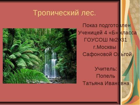 Презентация на тему "Тропический лес" по начальной школе