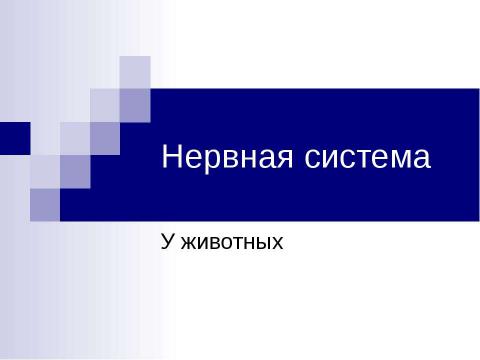 Презентация на тему "Нервная система У животных" по биологии