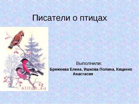 Презентация на тему "Писатели о птицах" по обществознанию