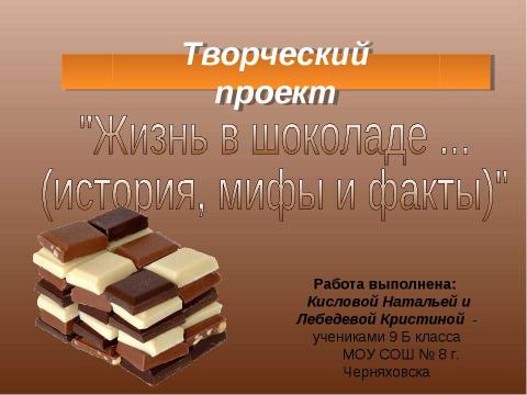 Презентация на тему "Жизнь в шоколаде" по обществознанию