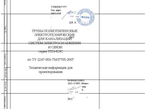 Презентация на тему "ТПЭ КЭС Информация для проектирования" по технологии