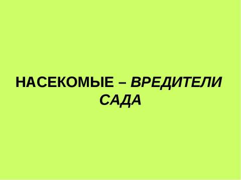 Презентация на тему "Насекомые - вредители сада" по биологии