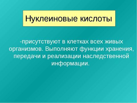 Презентация на тему "Нуклеиновые кислоты 9 класс" по химии