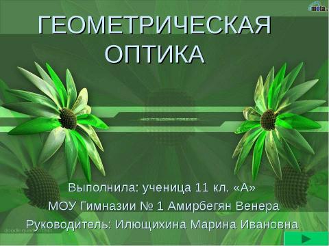 Презентация на тему "Геометрическая оптика (11 класс)" по физике