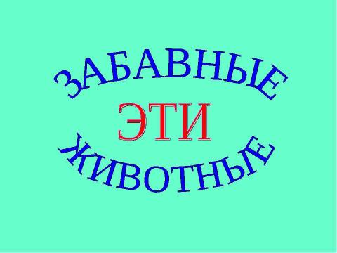 Презентация на тему "Забавные эти животные" по биологии