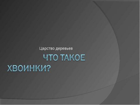 Презентация на тему "Что такое хвоинки?" по начальной школе