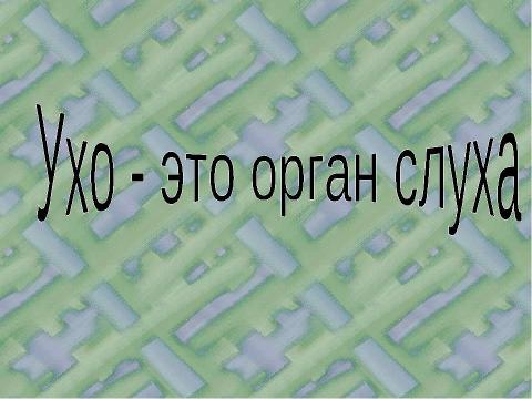 Презентация на тему "Ухо - это орган слуха" по биологии