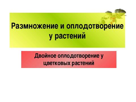 Презентация на тему "Размножение и оплодотворение у растений" по биологии