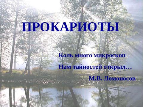 Презентация на тему "Прокариоты" по биологии