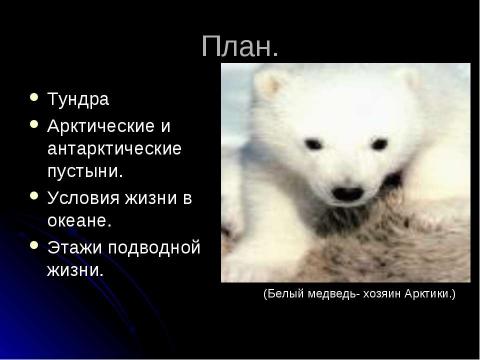 Презентация на тему "Жизнь в полярных поясах и в океане" по географии