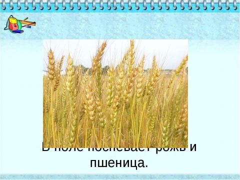 Презентация на тему "Зрительный диктант9" по начальной школе