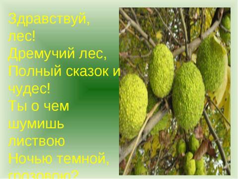 Презентация на тему "Пластилиновая страна" по технологии