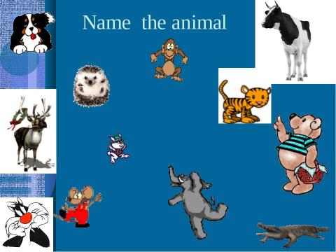 Презентация на тему "What do you know about animals?" по английскому языку