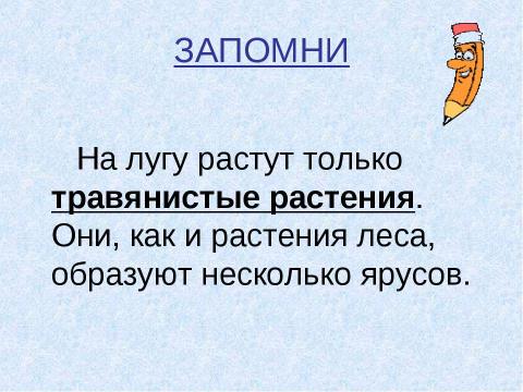 Презентация на тему "Луг и его обитатели" по окружающему миру