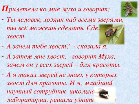 Презентация на тему "Зачем животным нужны хвосты? 5 класс" по окружающему миру