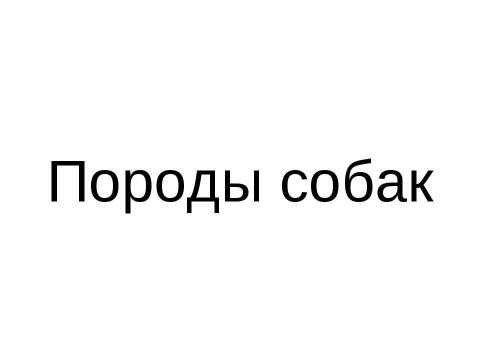 Презентация на тему "Породы собак" по начальной школе