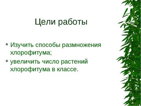 Презентация на тему "Зелёный друг" по окружающему миру