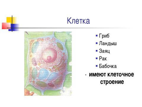 Презентация на тему "Чем живое отличается от неживого ?" по биологии