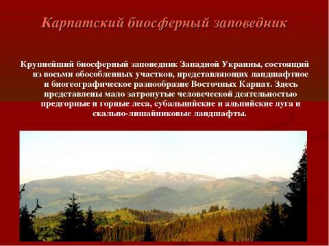 Презентация на тему "Заповедные места Украины. Карпатский биосферный заповедник" по географии