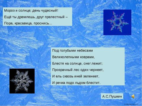 Презентация на тему "Сочинение-описание «Зимнее утро в лесу» 6 класс" по русскому языку