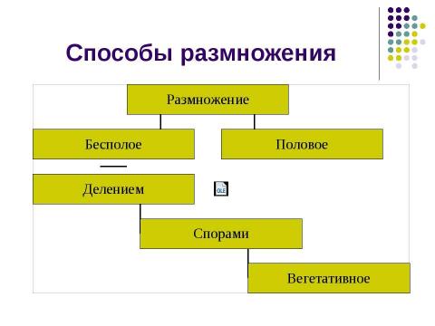 Презентация на тему "Внутриутробное развитие человека" по биологии