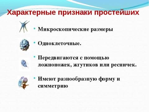 Презентация на тему "Биологический аукцион «Простейшие»" по биологии