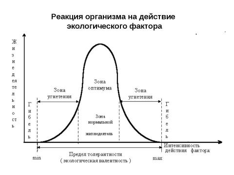 Презентация на тему "Общие законы действия факторов среды на организм" по биологии