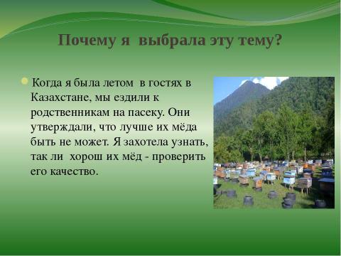 Презентация на тему "правильные пчёлы делают правильный мёд" по окружающему миру