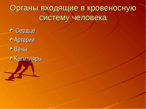 Презентация на тему "Кровеносная система человека" по биологии