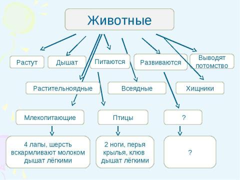 Презентация на тему "Многообразие рыб 1 класс" по начальной школе