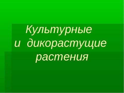 Презентация на тему "Культурные и дикорастущие растения" по биологии