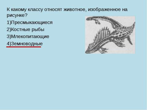 Презентация на тему "Земноводные" по биологии