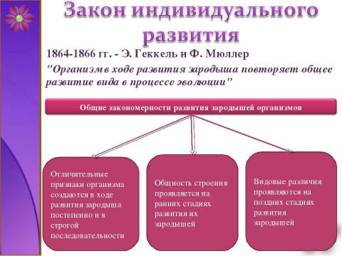 Презентация на тему "Развитие зародыша и плода. Беременность и роды" по медицине