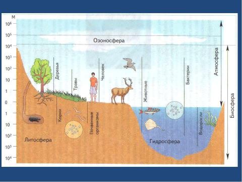 Презентация на тему "Человечество в биосфере" по биологии