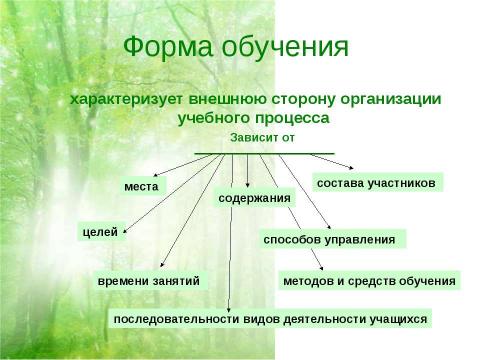 Презентация на тему "Формы организации учебного процесса" по обществознанию