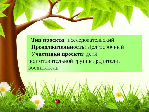 Презентация на тему "дуб - символ мудрости" по педагогике