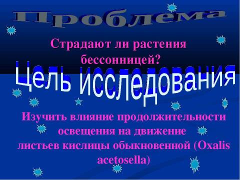 Презентация на тему ""Сон" кислицы" по экологии