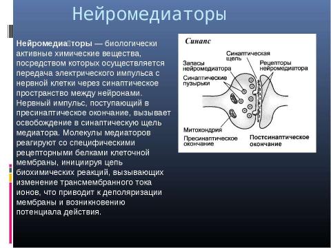 Презентация на тему "Генетика поведения: механизм формирования зависимости" по биологии