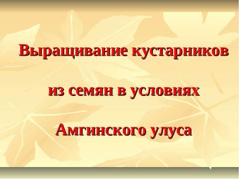 Презентация на тему "Выращивание кустарников из семян в условиях Амгинского улуса" по экологии